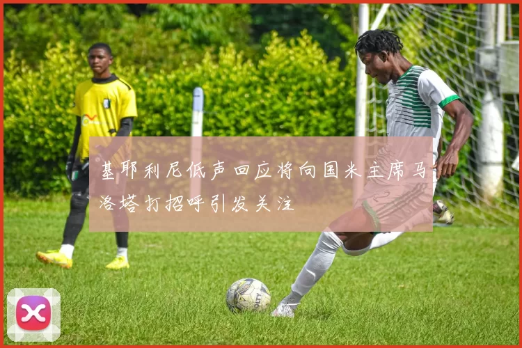 基耶利尼低声回应将向国米主席马洛塔打招呼引发关注